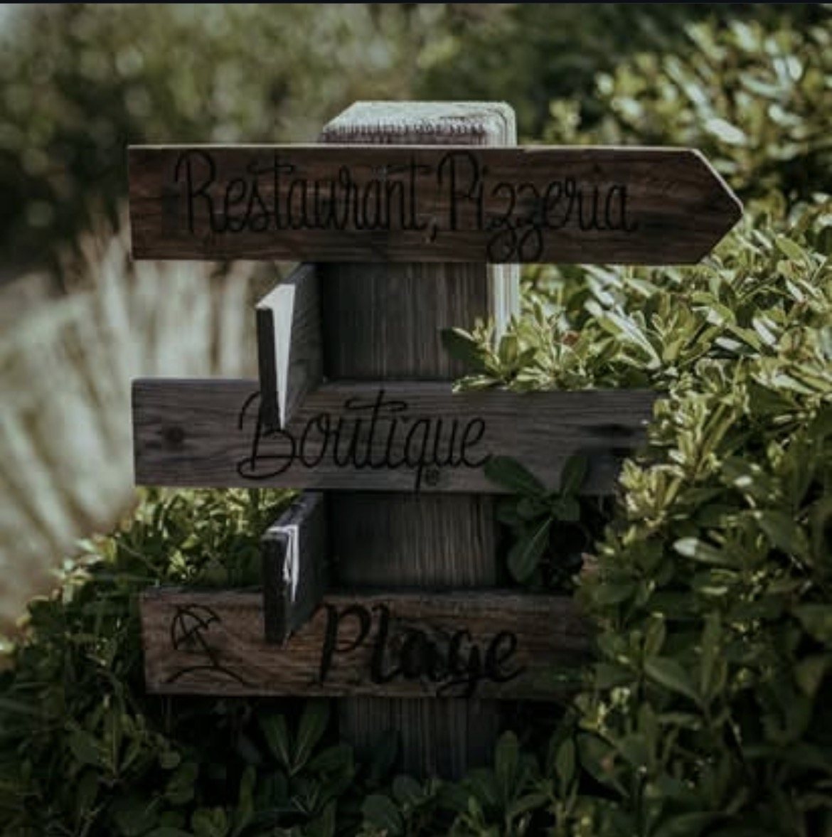 Pancarte en bois dans le maquis : restaurant, pizzeria, boutique, plage