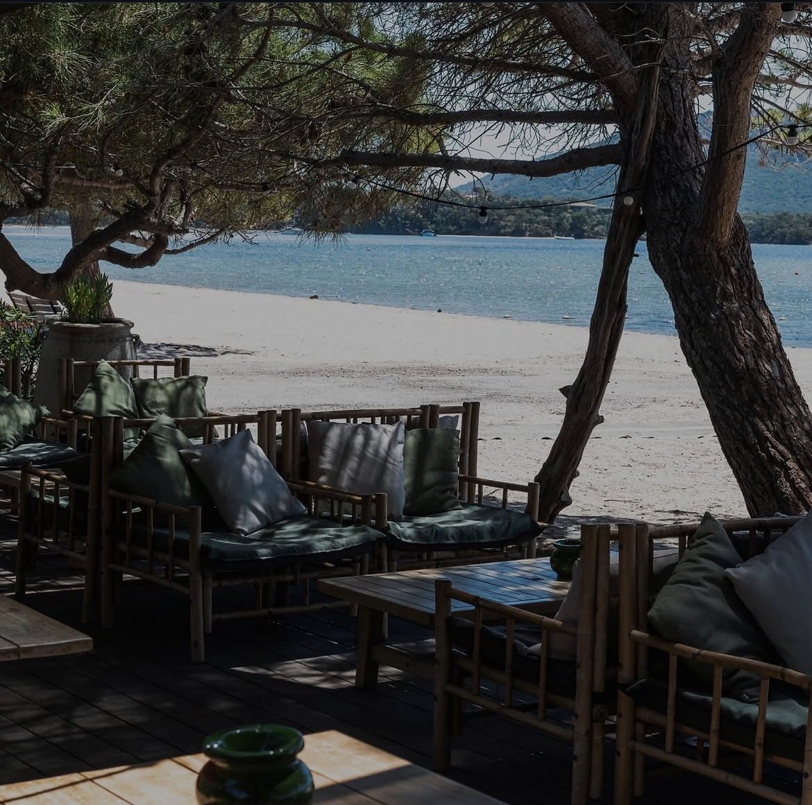 Salon en bambou sous les pins, face à la plage du Golfo di Sogno